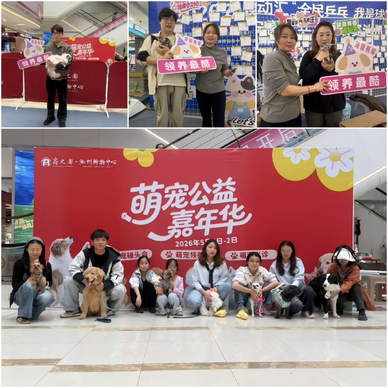Y3国际官网·(中国游)官方网站